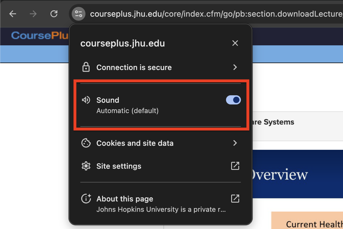 Screenshot showing the Sound setting in Chrome's address bar