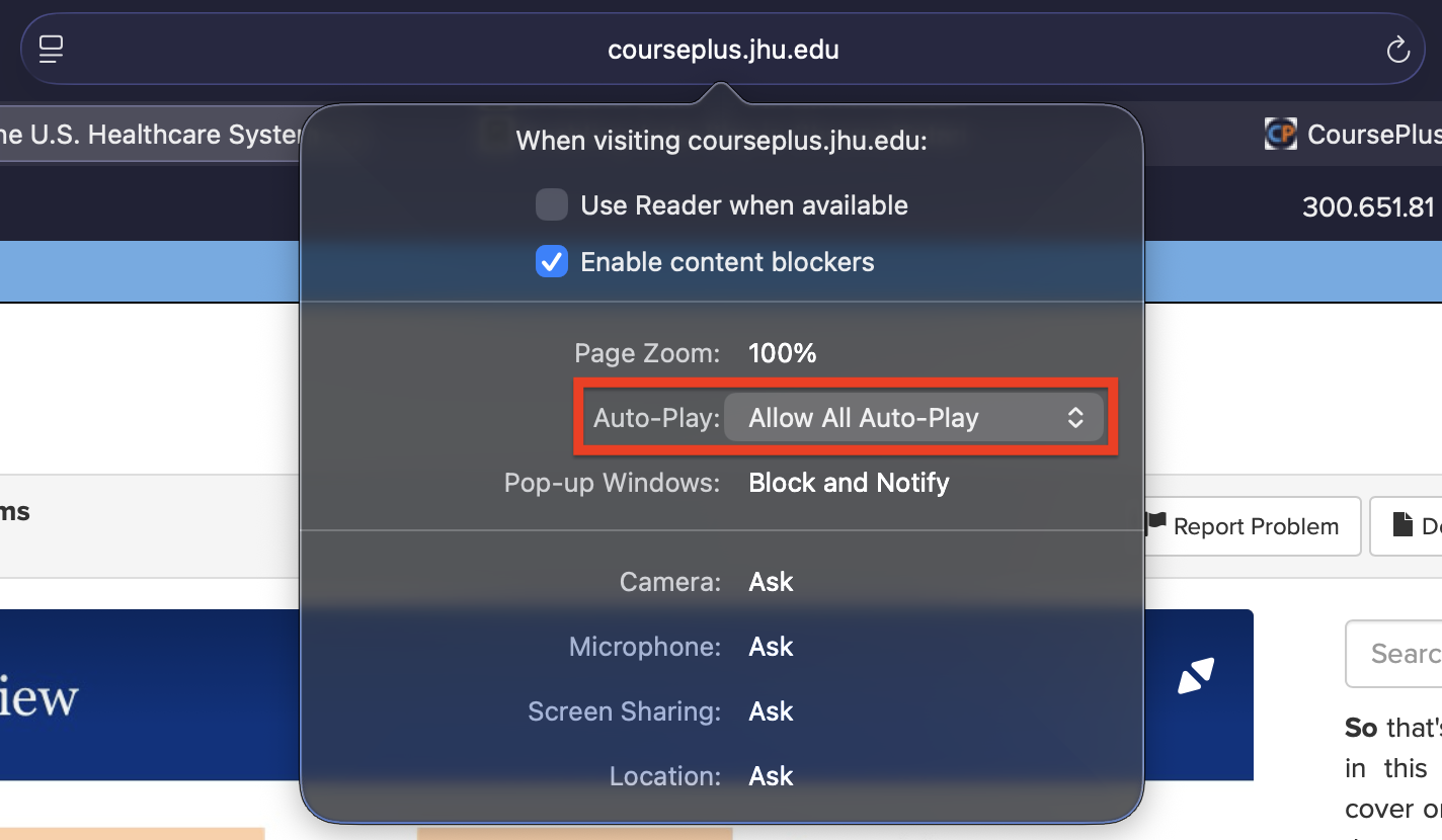 Screenshot showing the Auto-Play setting in Safari's address bar