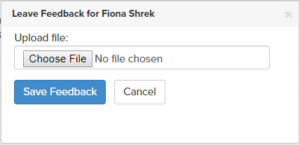 Screenshot of window for uploading feedback for individual students